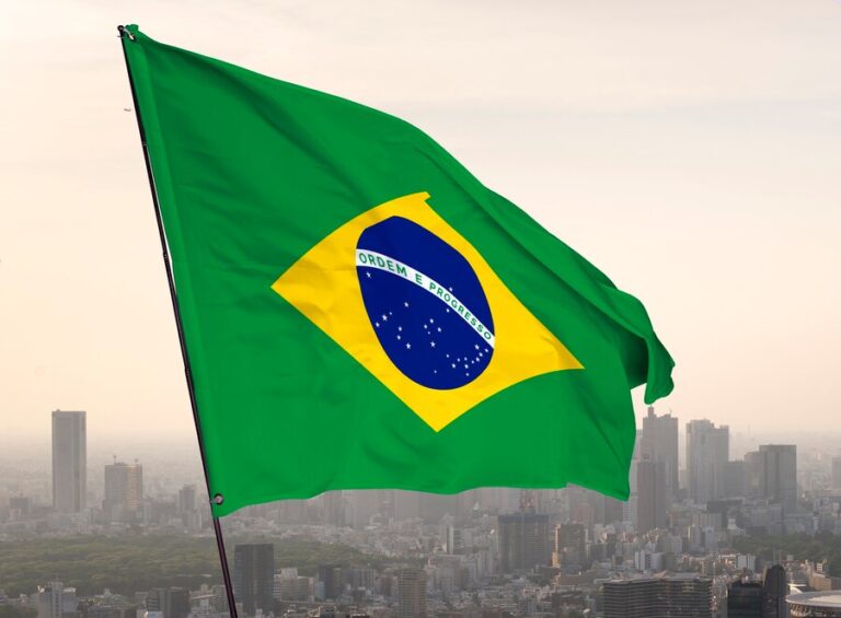 brazilian-flag-composition_23-2150169447