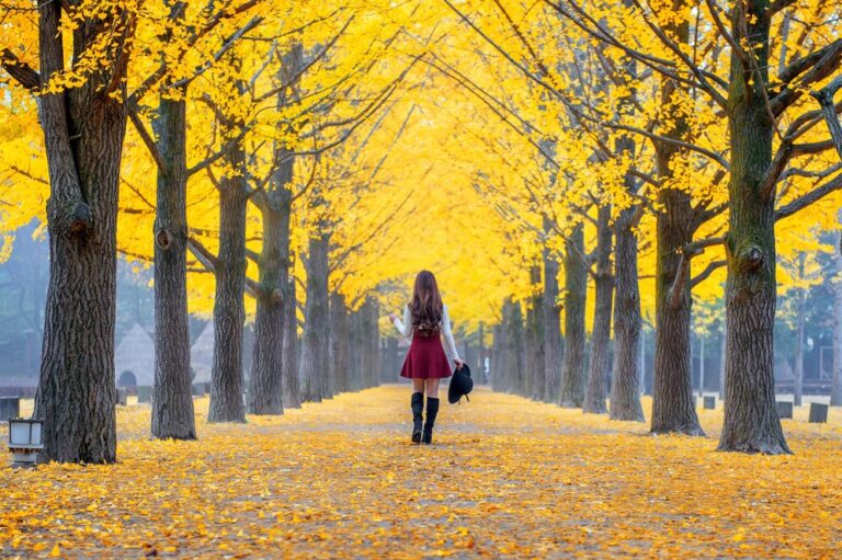 beautiful-girl-with-yellow-leaves-nami-island-korea_335224-321